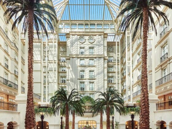 A stunning atrium with palm trees and a glass roof, featuring families enjoying afternoon tea.