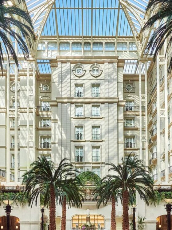 A stunning atrium with palm trees and a glass roof, featuring families enjoying afternoon tea.